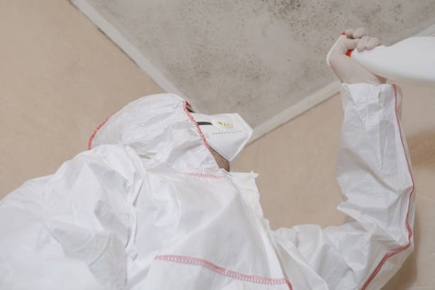Mold Removal and Inspection in Glasgow, KY