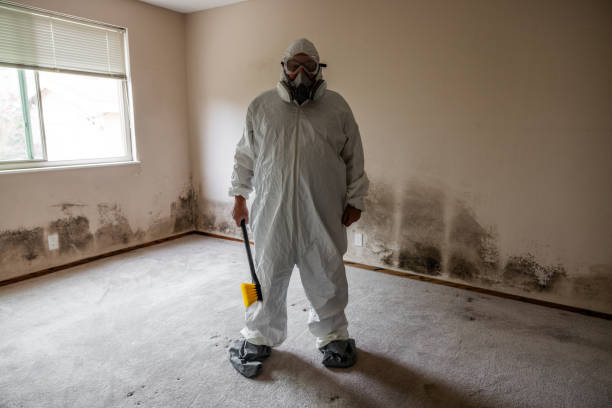 Certified Mold Removal in Glasgow, KY